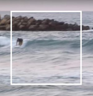 windsurf_spot_crete_chania_ platanias_3